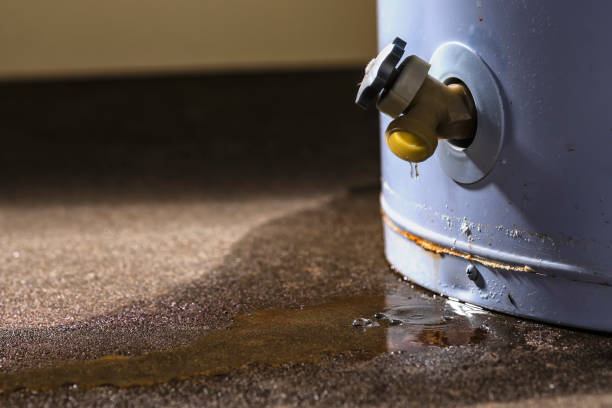 Best 24/7 water damage repair  in Kincheloe, MI