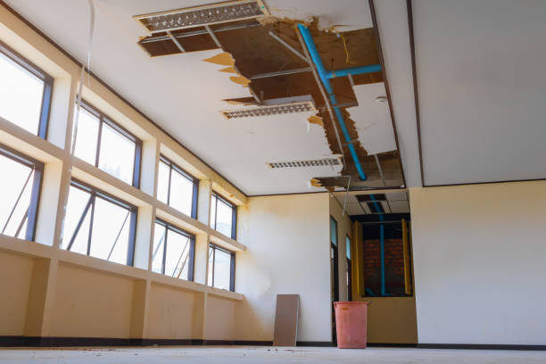 Best Water damage restoration company  in Kincheloe, MI