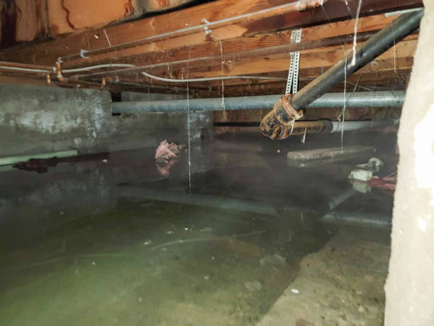 Kincheloe, MI Water damage restoration Pros