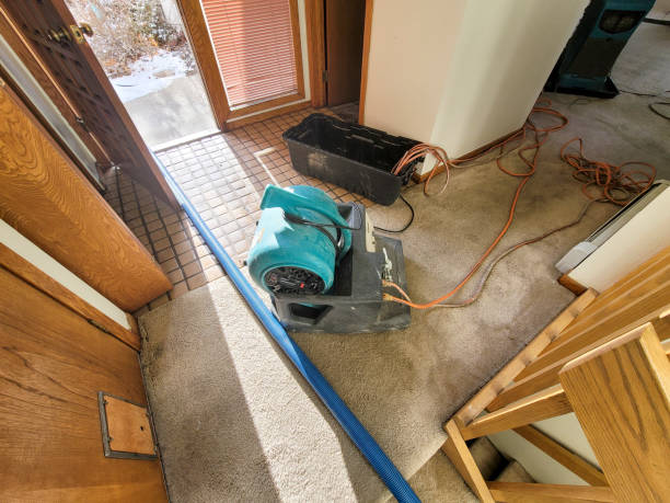 Best 24-hour water damage restoration  in Kincheloe, MI