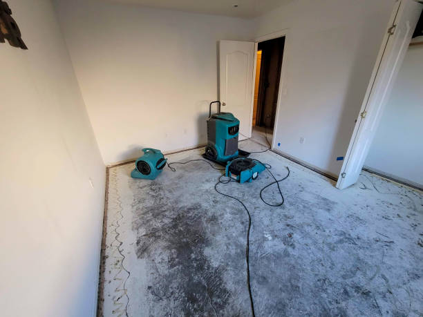 Best Sewage cleanup and water damage restoration  in Kincheloe, MI