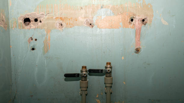 Best Flooded house restoration  in Kincheloe, MI