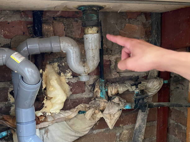 Best Professional water damage repair  in Kincheloe, MI