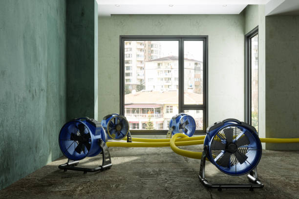 Best Water damage contractors near me  in Kincheloe, MI